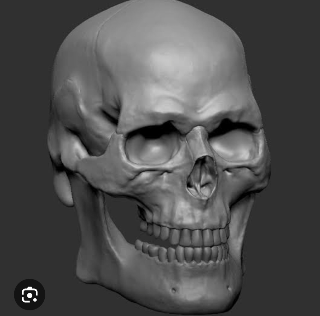 Screenshot 20240925 135344 Chrome