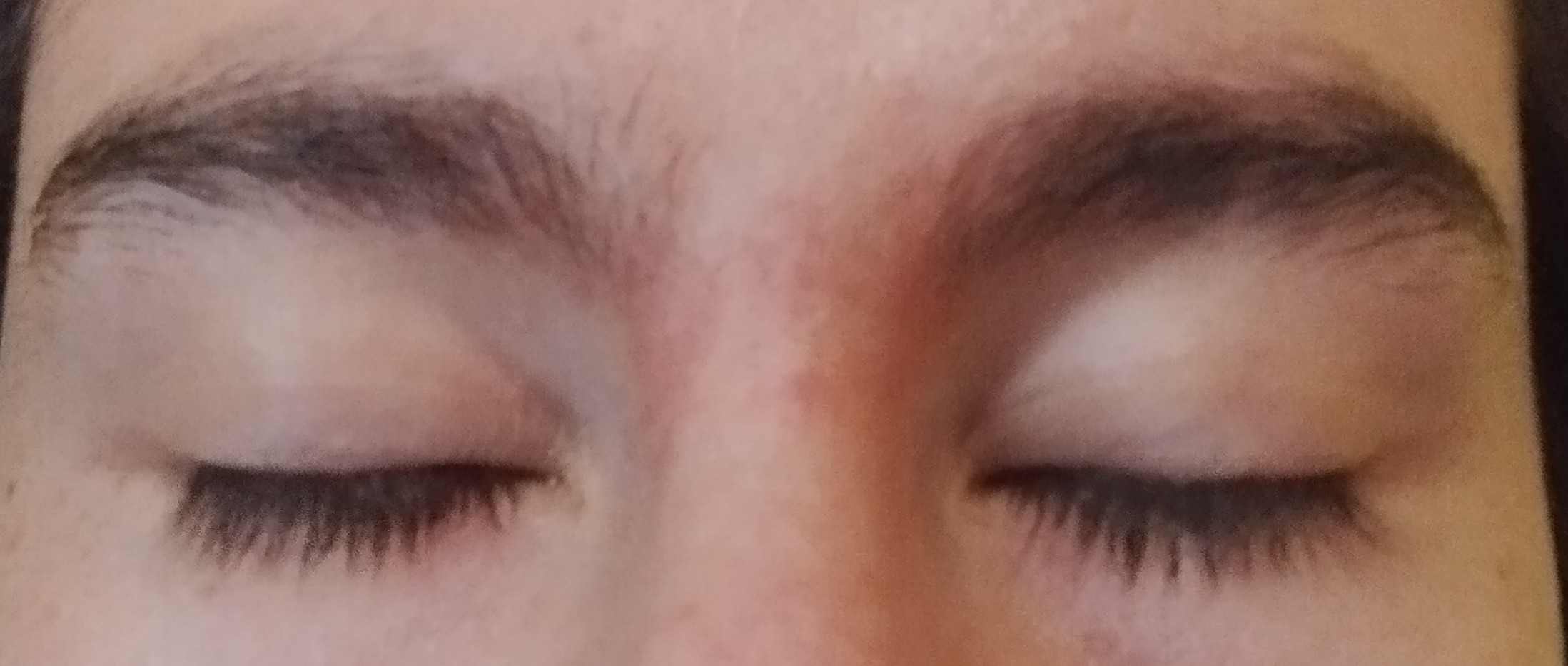 IMG 20240914 1236472