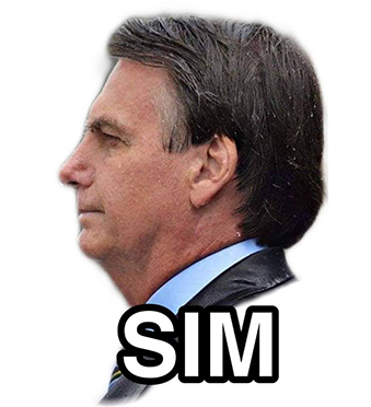 Sim