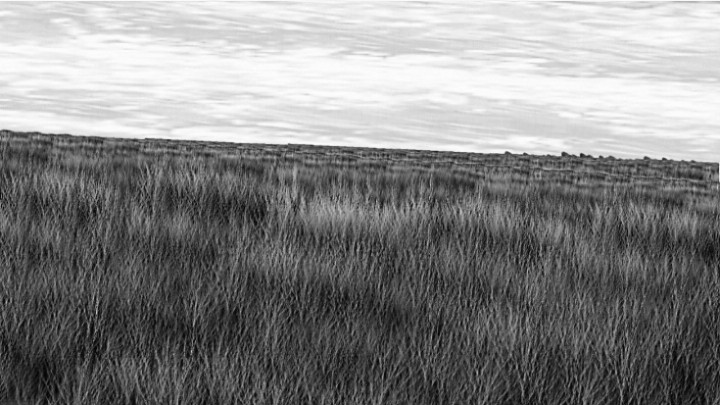 Screenshot 20240917 123835 FlipaClip2