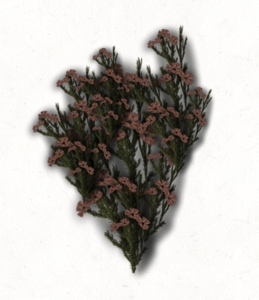 Screenshot 20240614 174450 FlipaClip