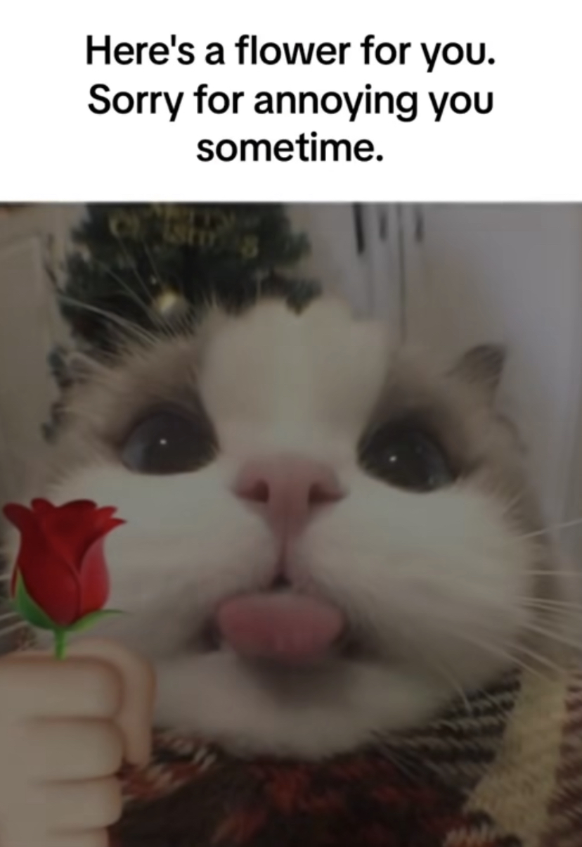 8C9A060E C3A2 4C30 A824 2CD7DFD75C36