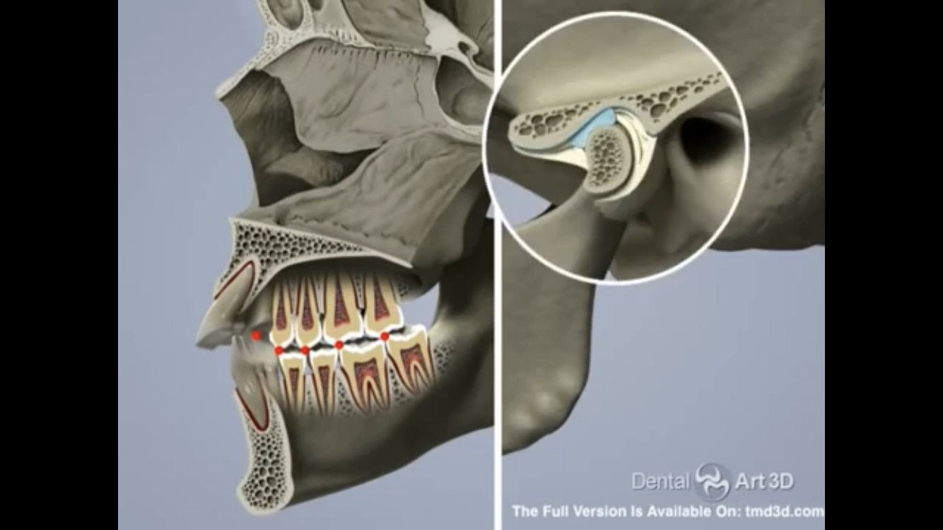 25767A80 EA26 41ED 91AD 12FCB9CCBB3B