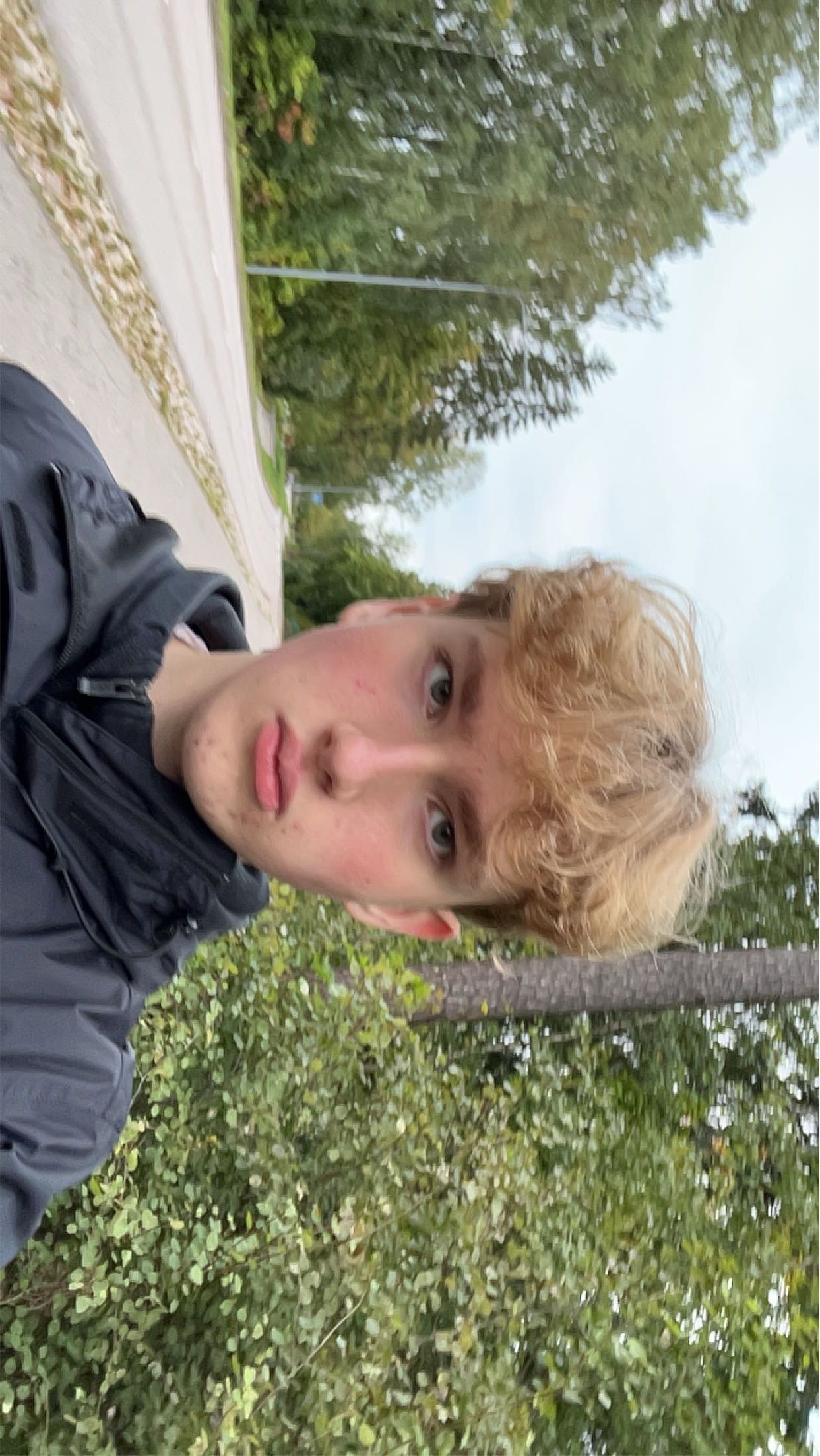 IMG 0017