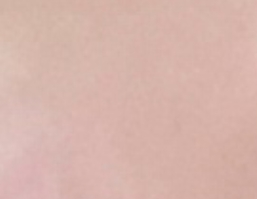 Screenshot 20240929 172937 Gallery