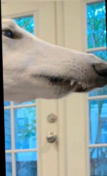 Untitled design Cropped