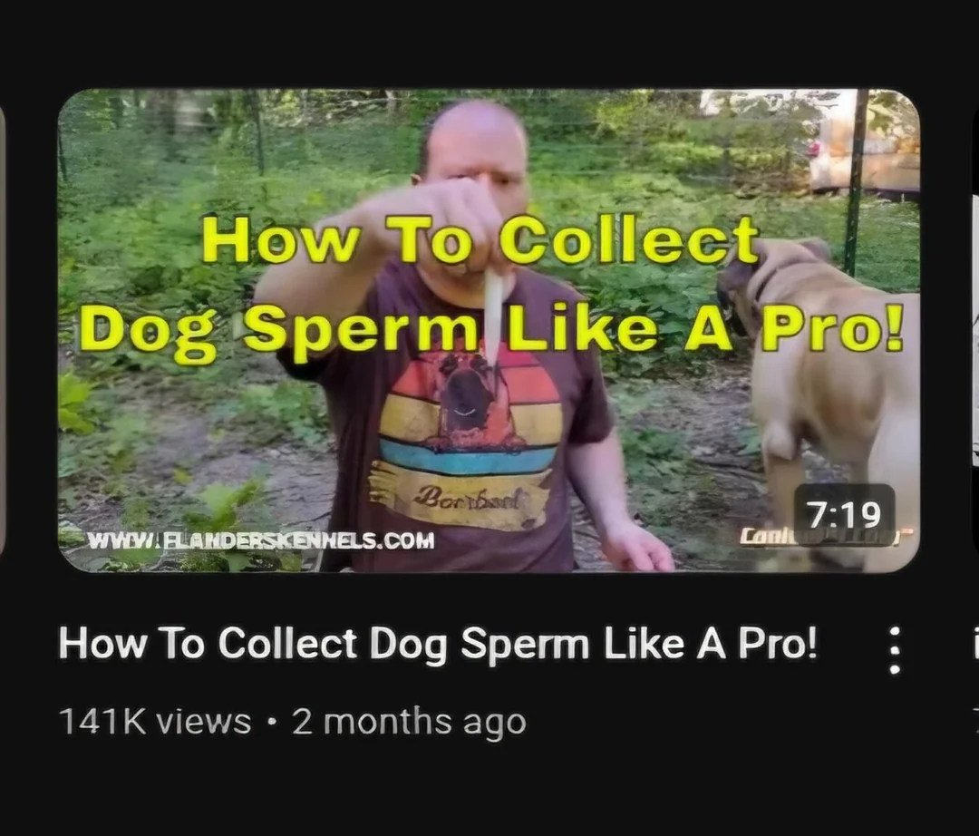 1727639916094