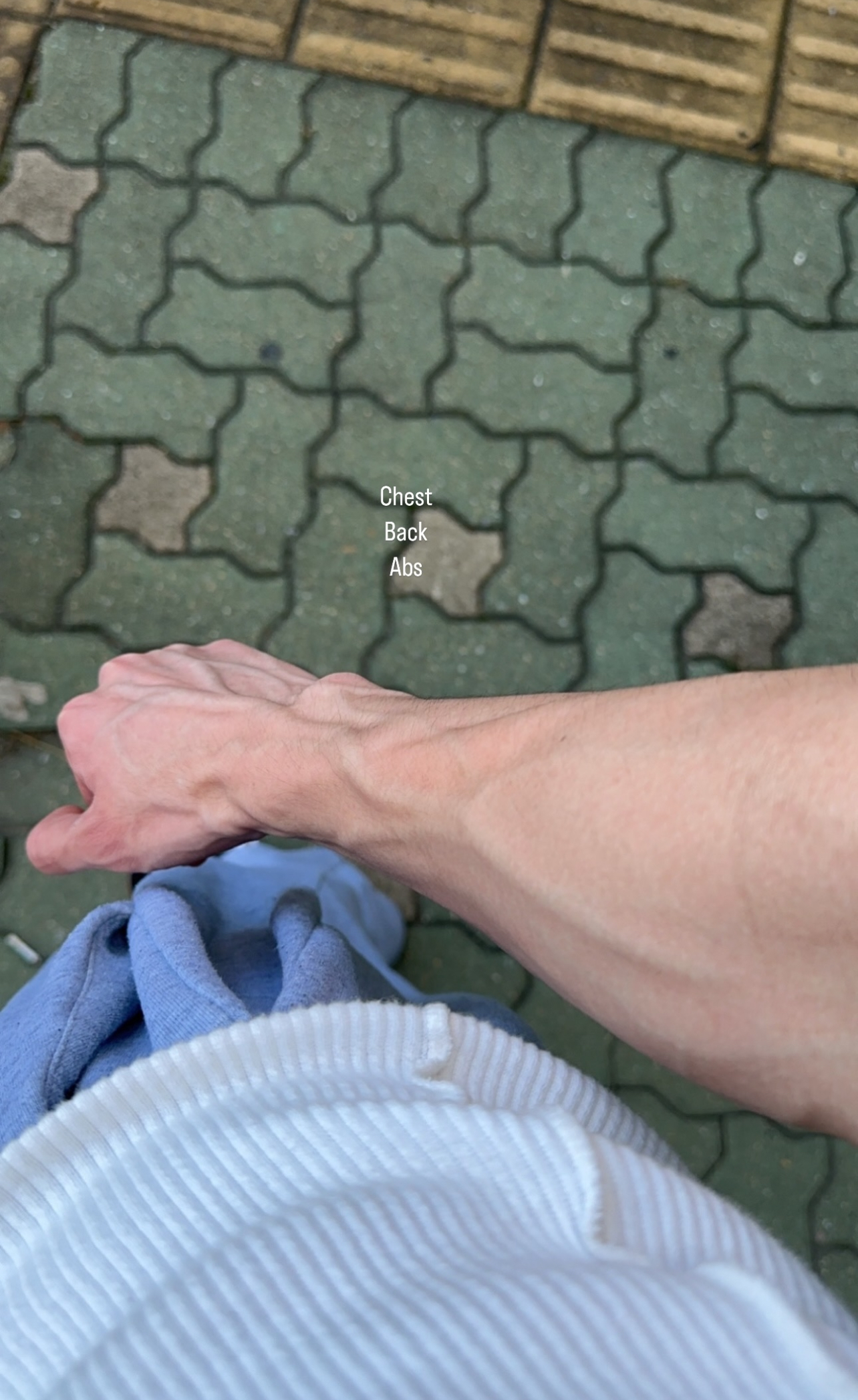 IMG 0462