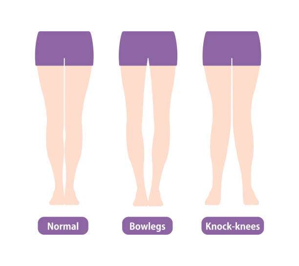 Istockphoto 1191194245 612x612