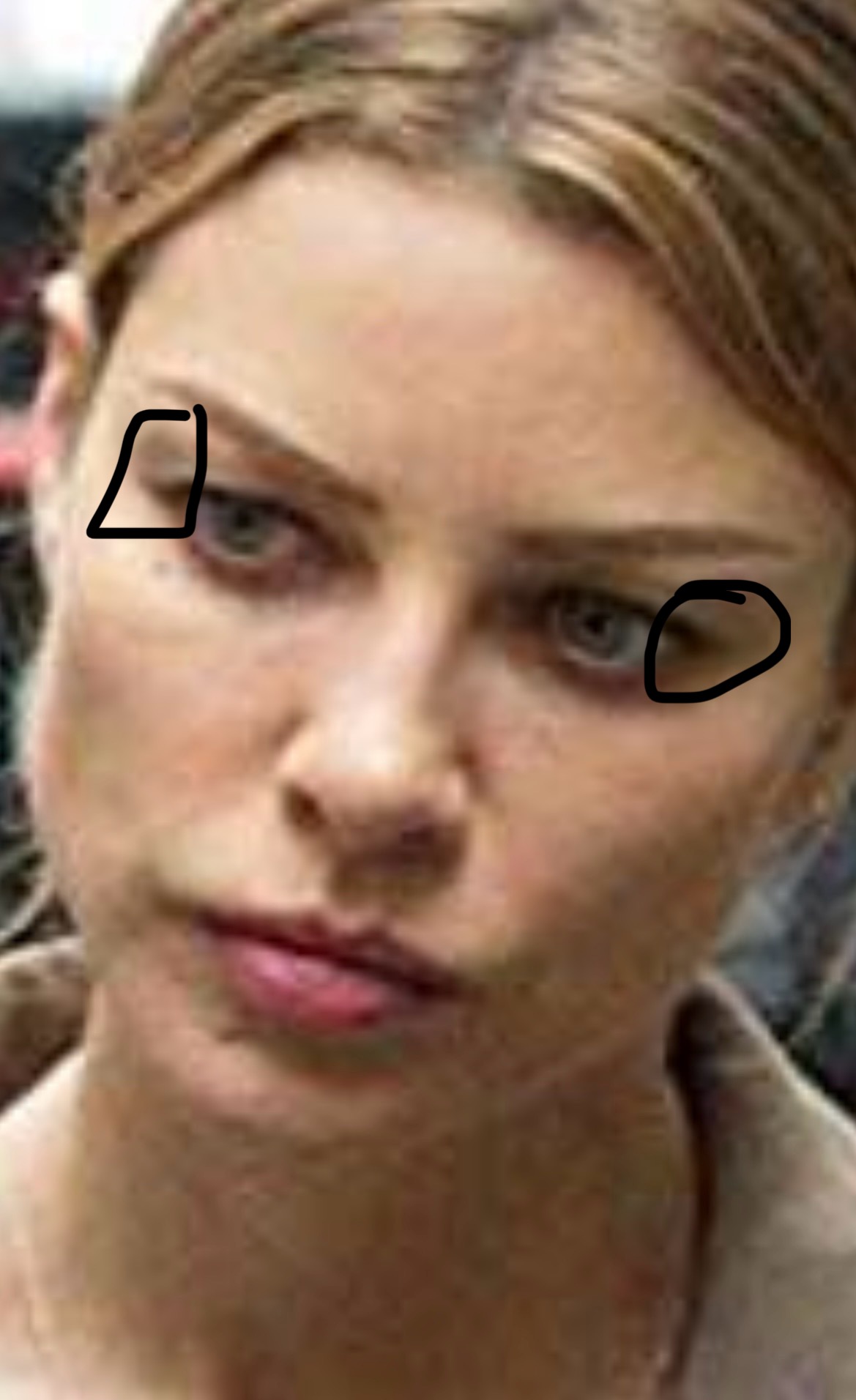 IMG 2530