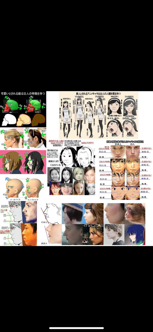 IMG_3383.png