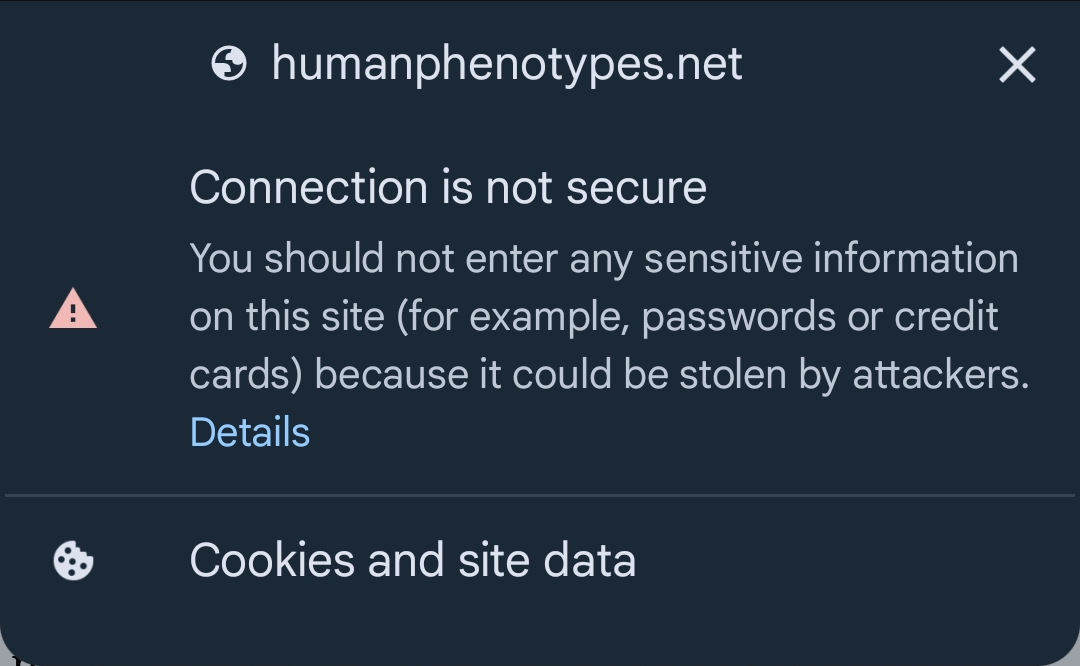 Screenshot 20241001 043331 Chrome