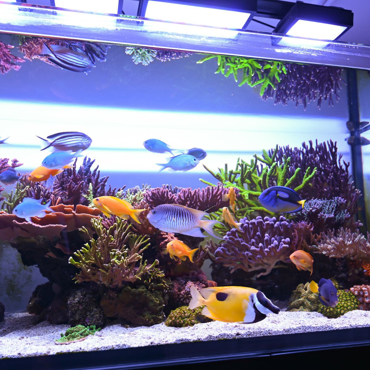 461319783 936765218483318 7070722293484456796 n