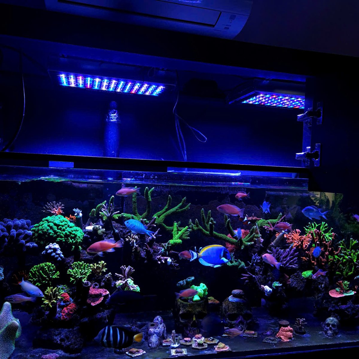 461083695 935193658640474 2378524273981352940 n