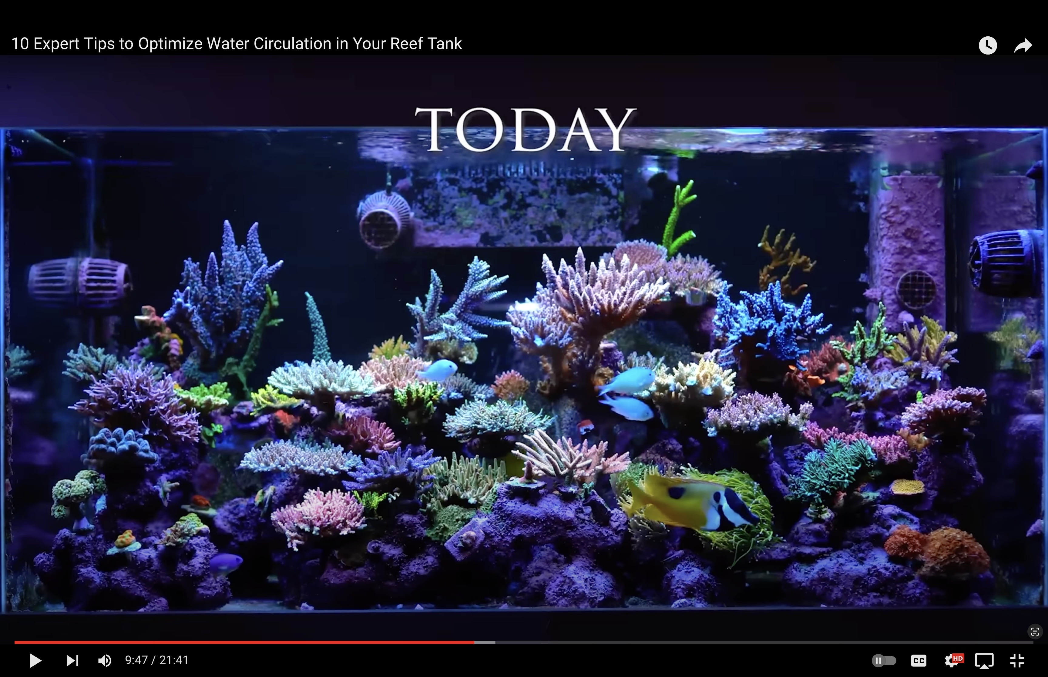 Image 9 28 24 at 102 PM