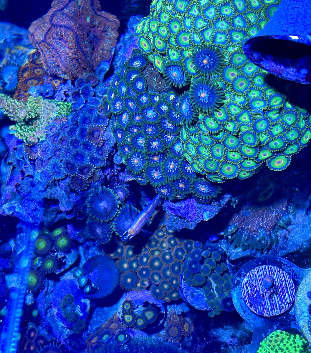 461813381 940813021411871 2191603369675182480 n