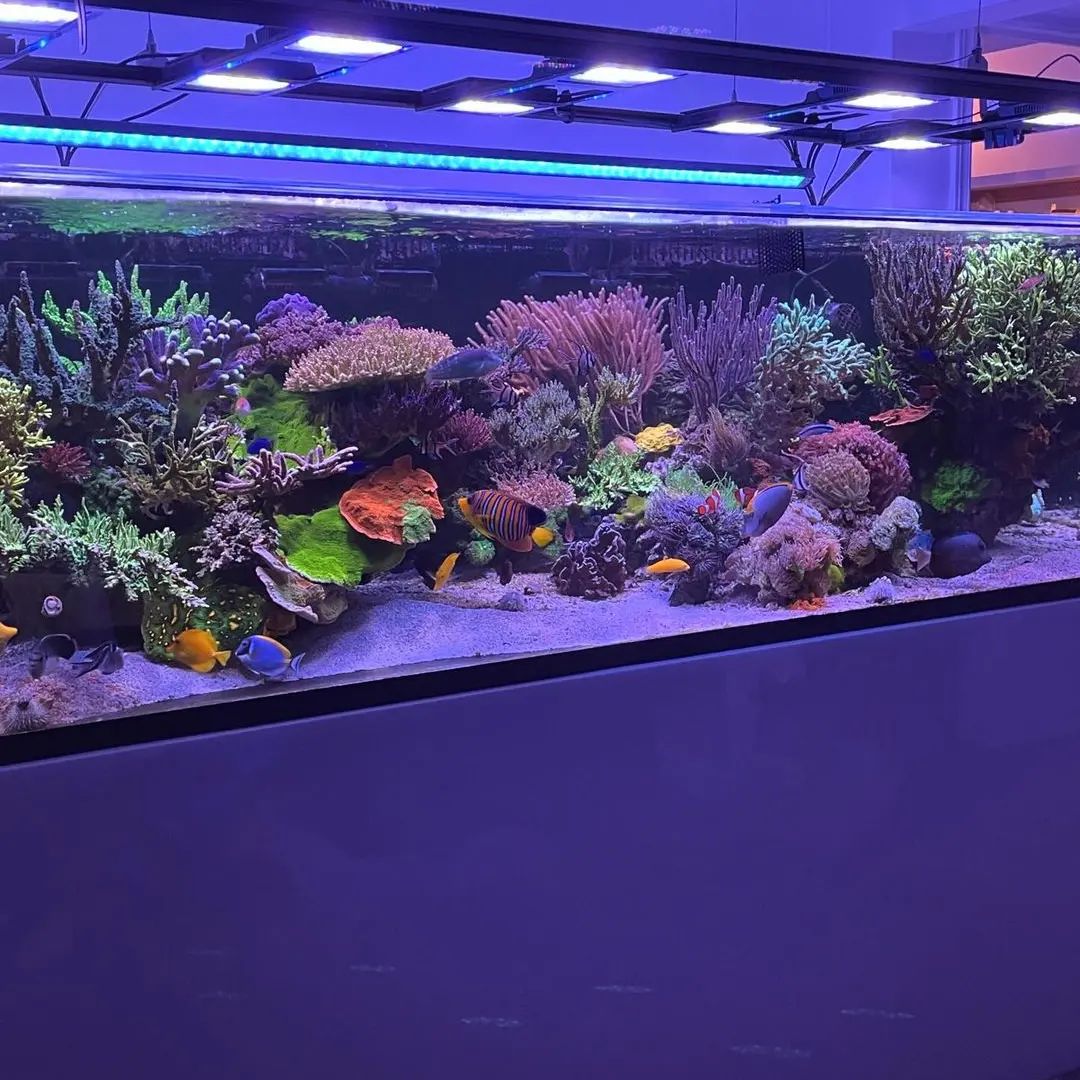 457399168 506042612375516 1430952958808885860 n