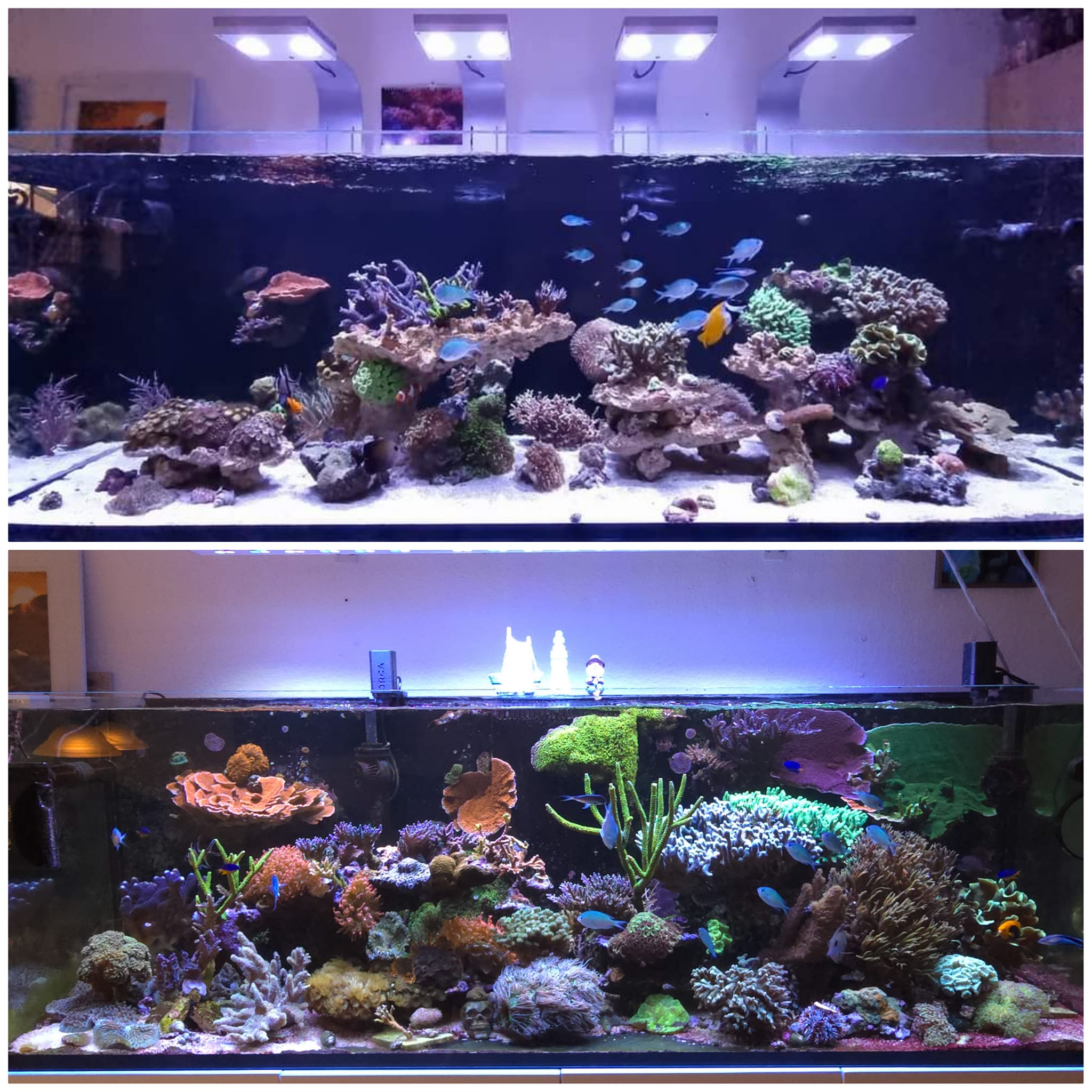 460188960 1747153086100392 8753592000710104530 n