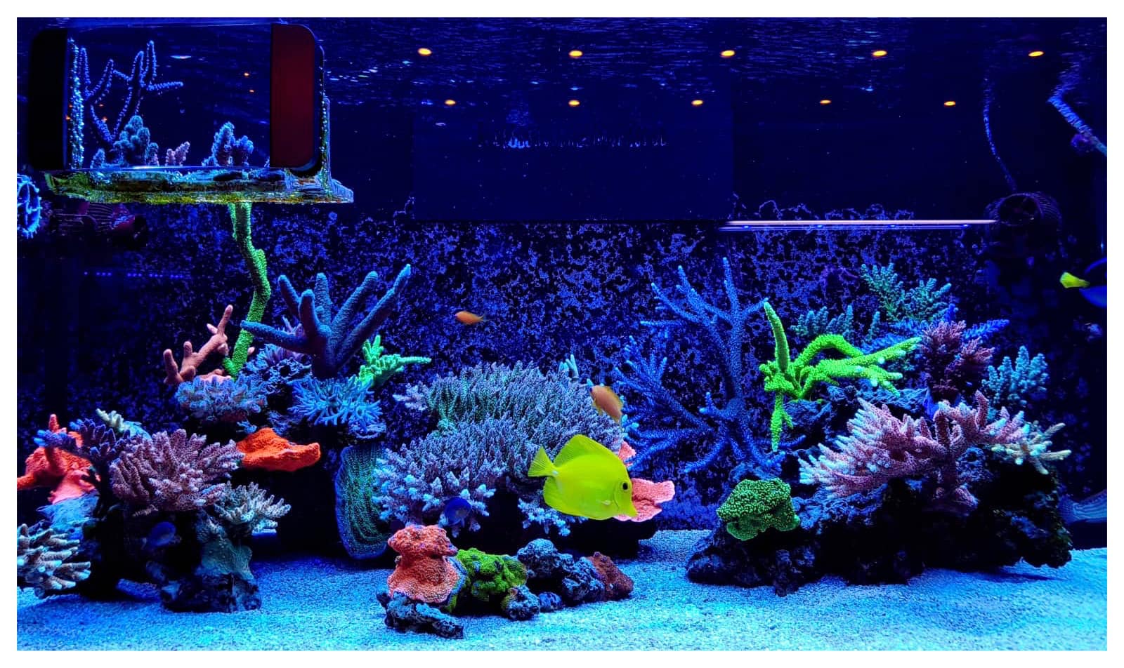 451786431 497762459601458 7167335289301135615 n