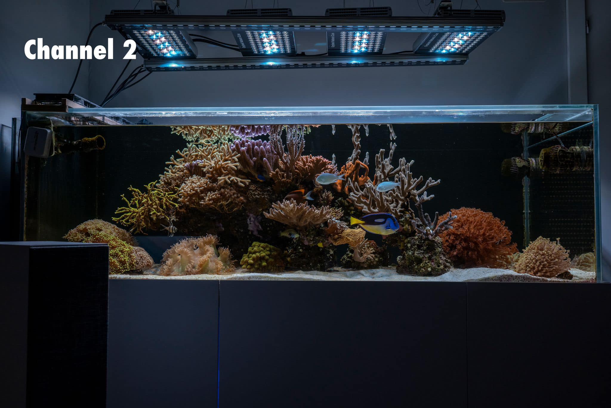 450397279 900423052129375 8075734960786653027 n