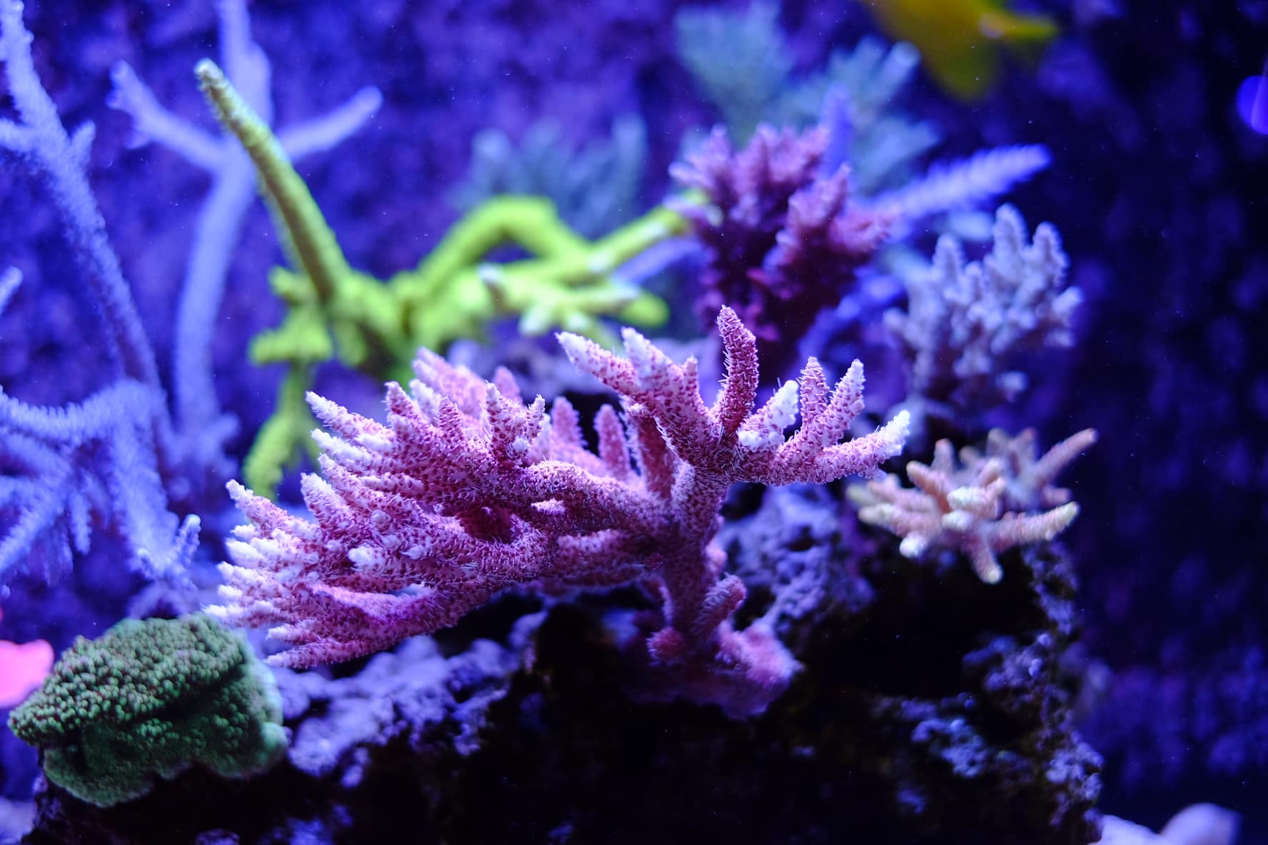 452192304 497763329601371 9130632641394798857 n