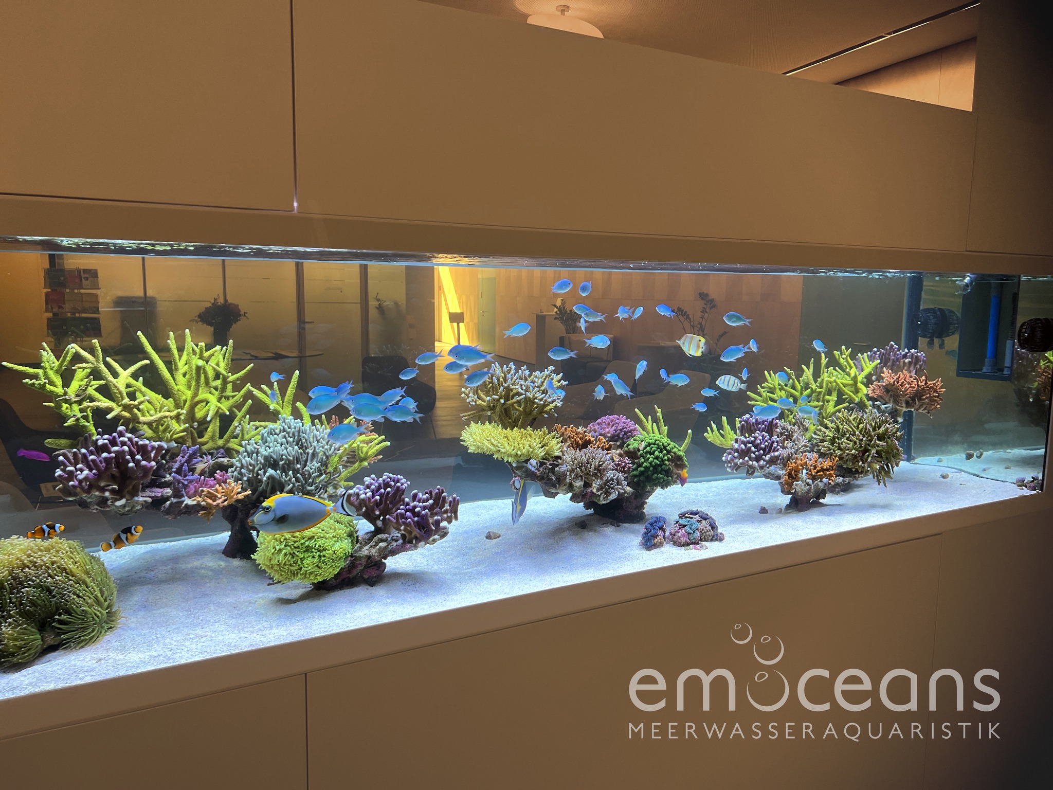 456694977 1003981751523913 7966890928550838763 n