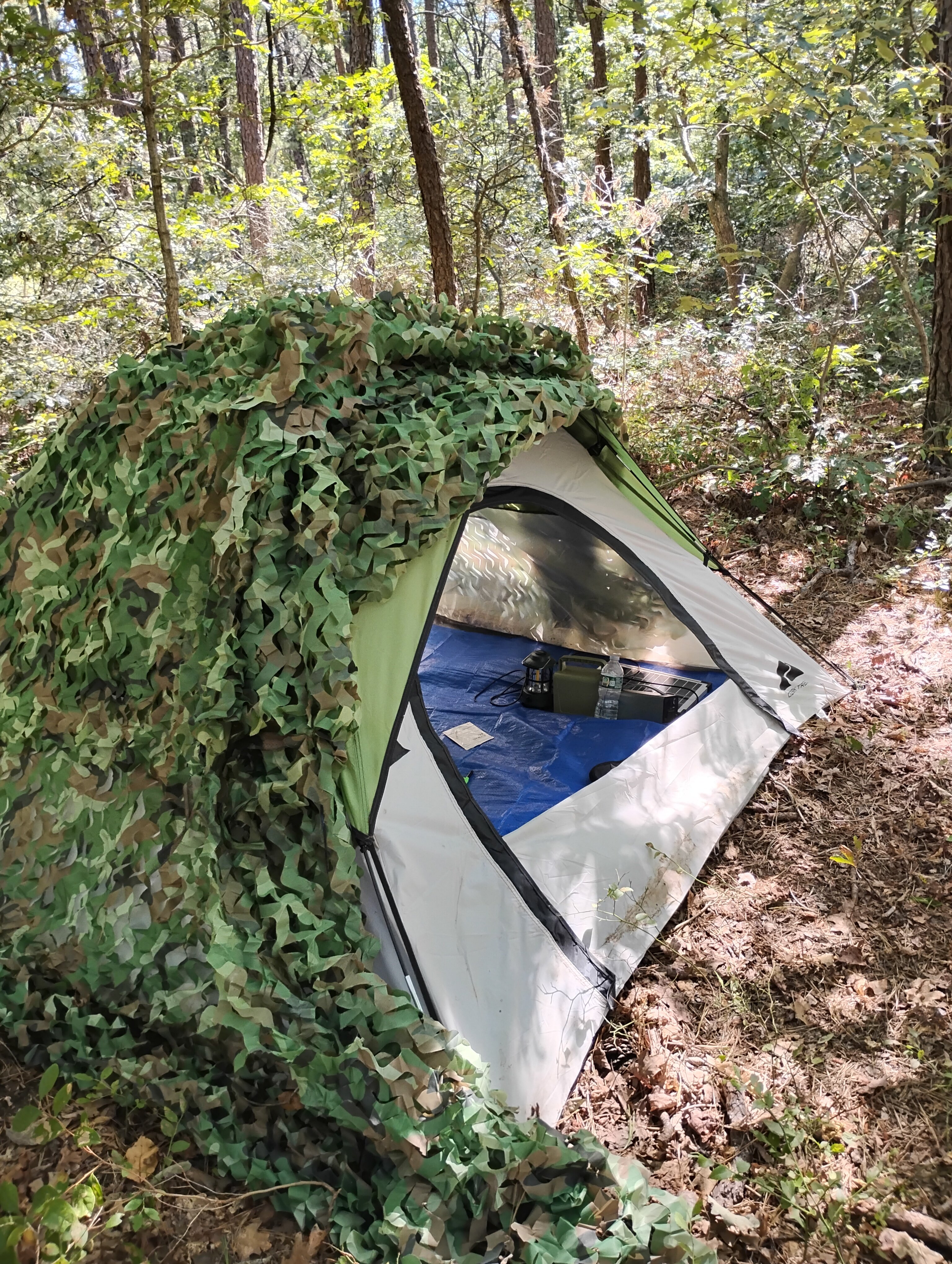 IMG 20240908 143330100 HDR