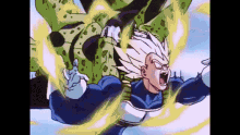 Vegeta perfect