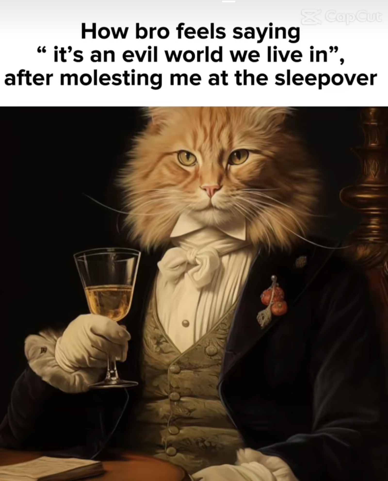 4261476 Screenshot 20240520 153404 TikTok