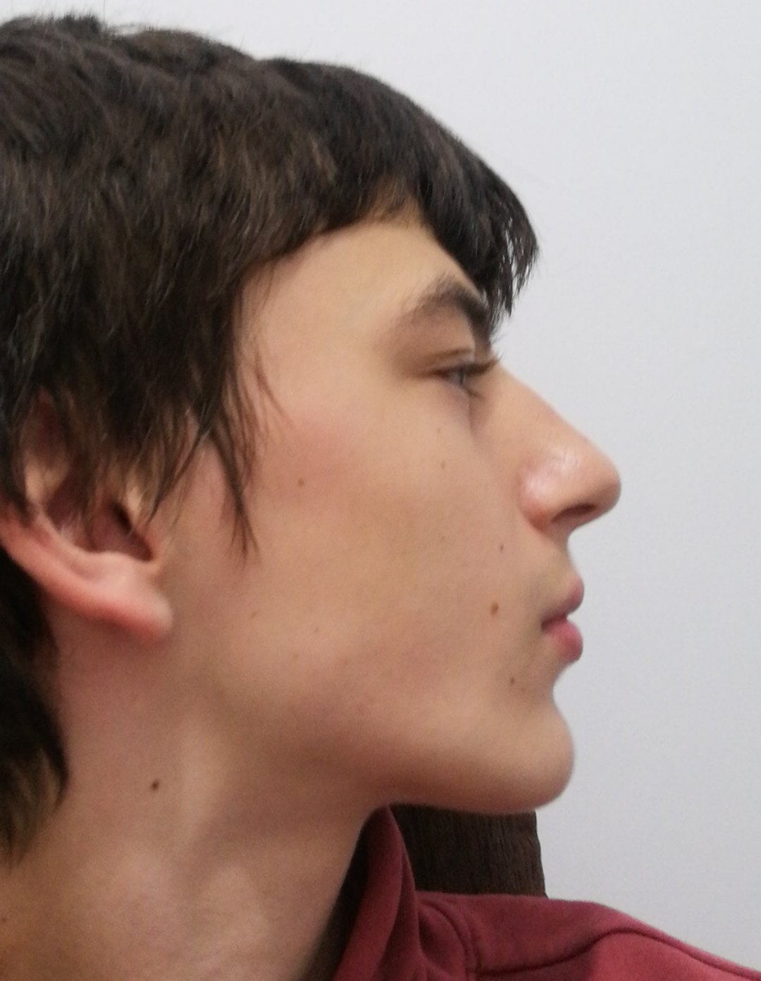 Orca image  1639533182