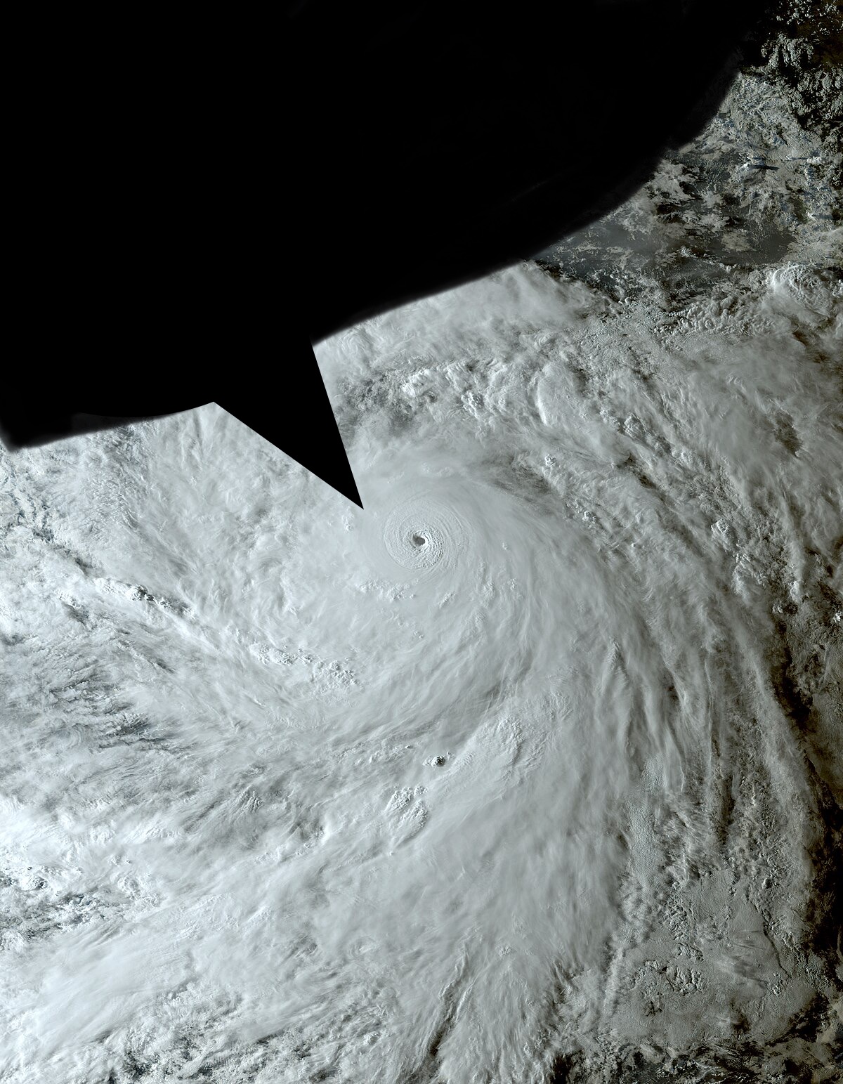 3976341 IMG 0278 jova speech bubble