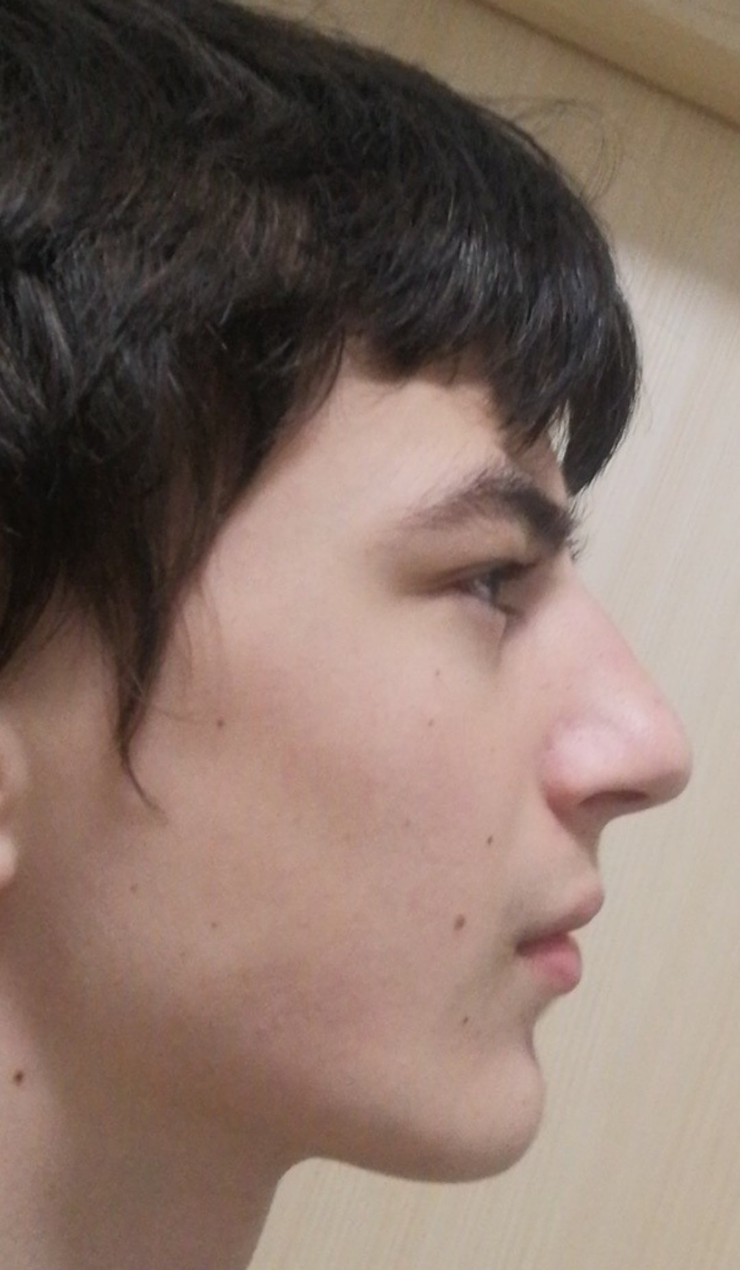 Orca image 2117215048