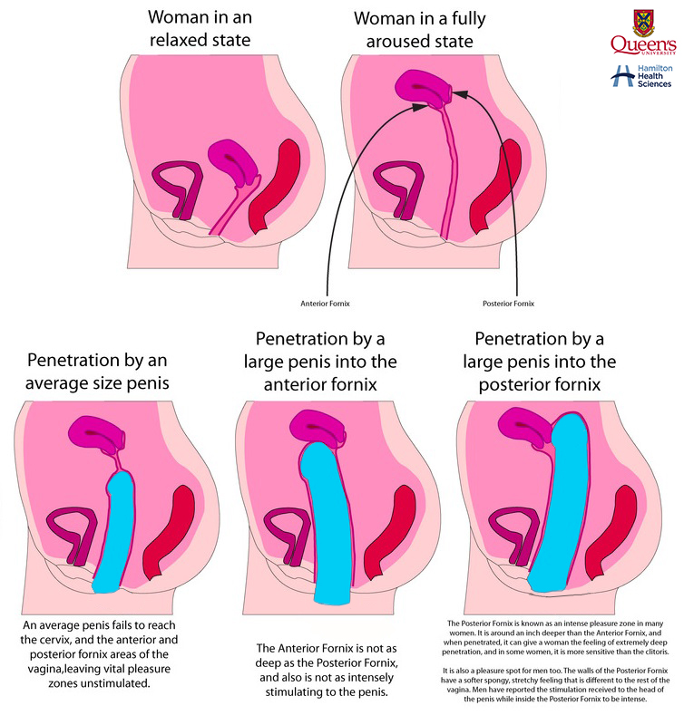 3699869 2357687 1618779765684