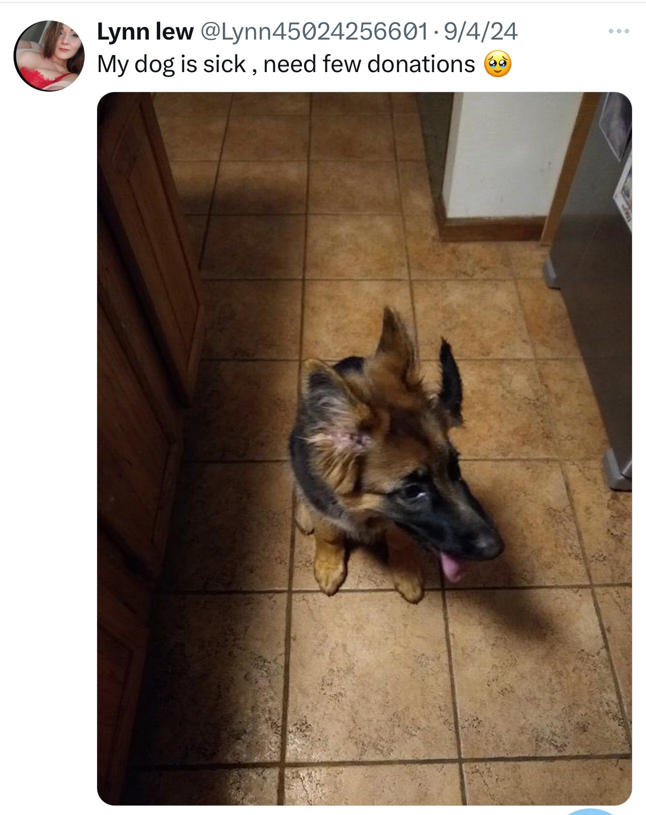 GXZTbOXWoAAlQsU