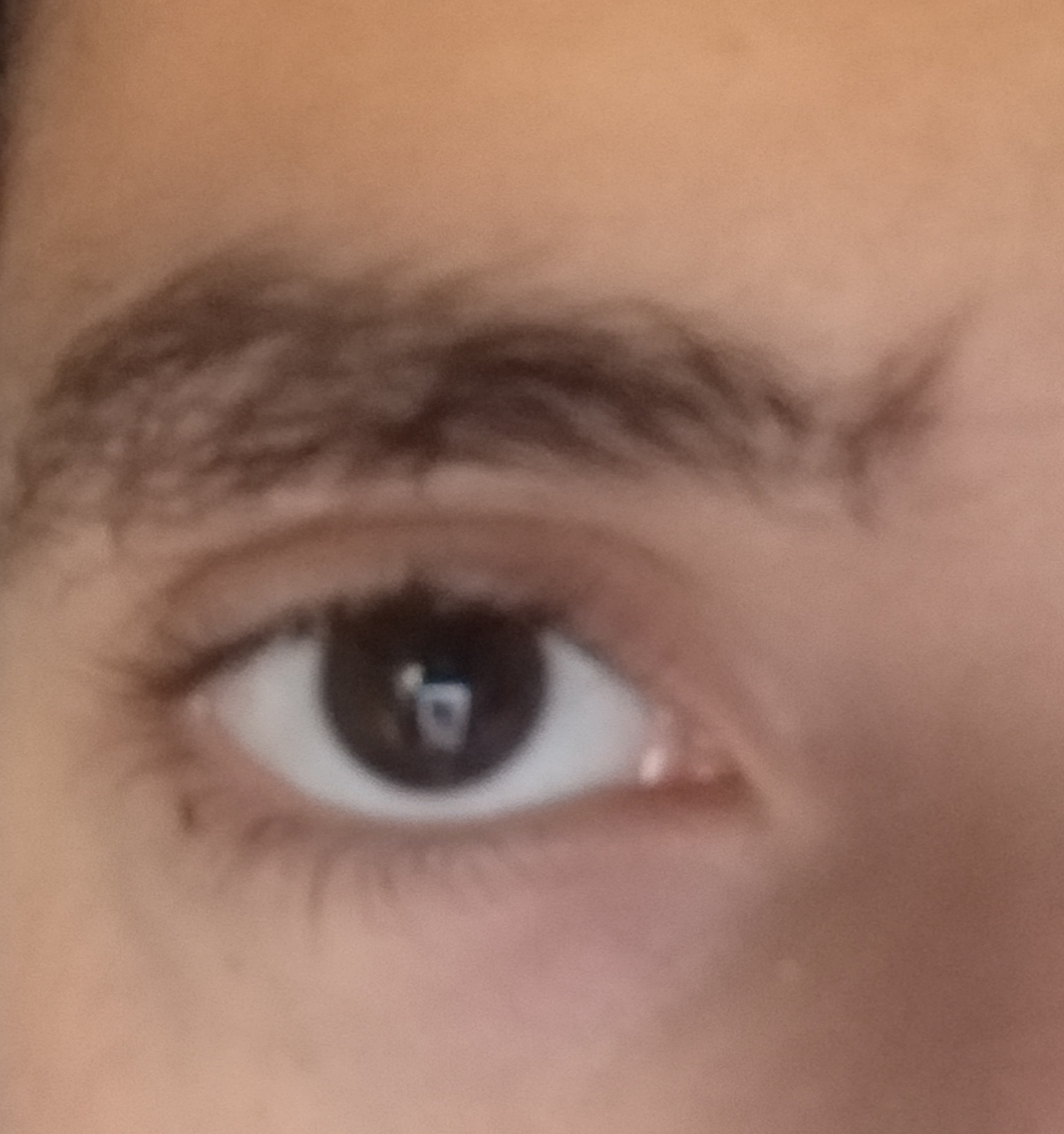 IMG 20241005 190403