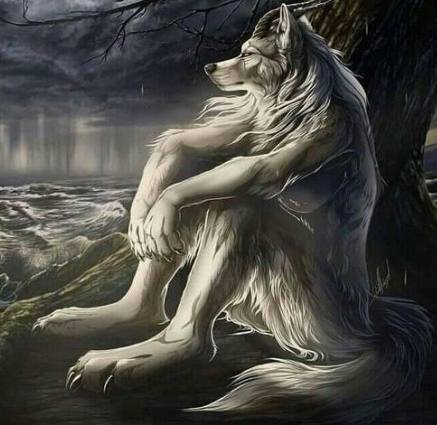 IMG 20240321 202843 236