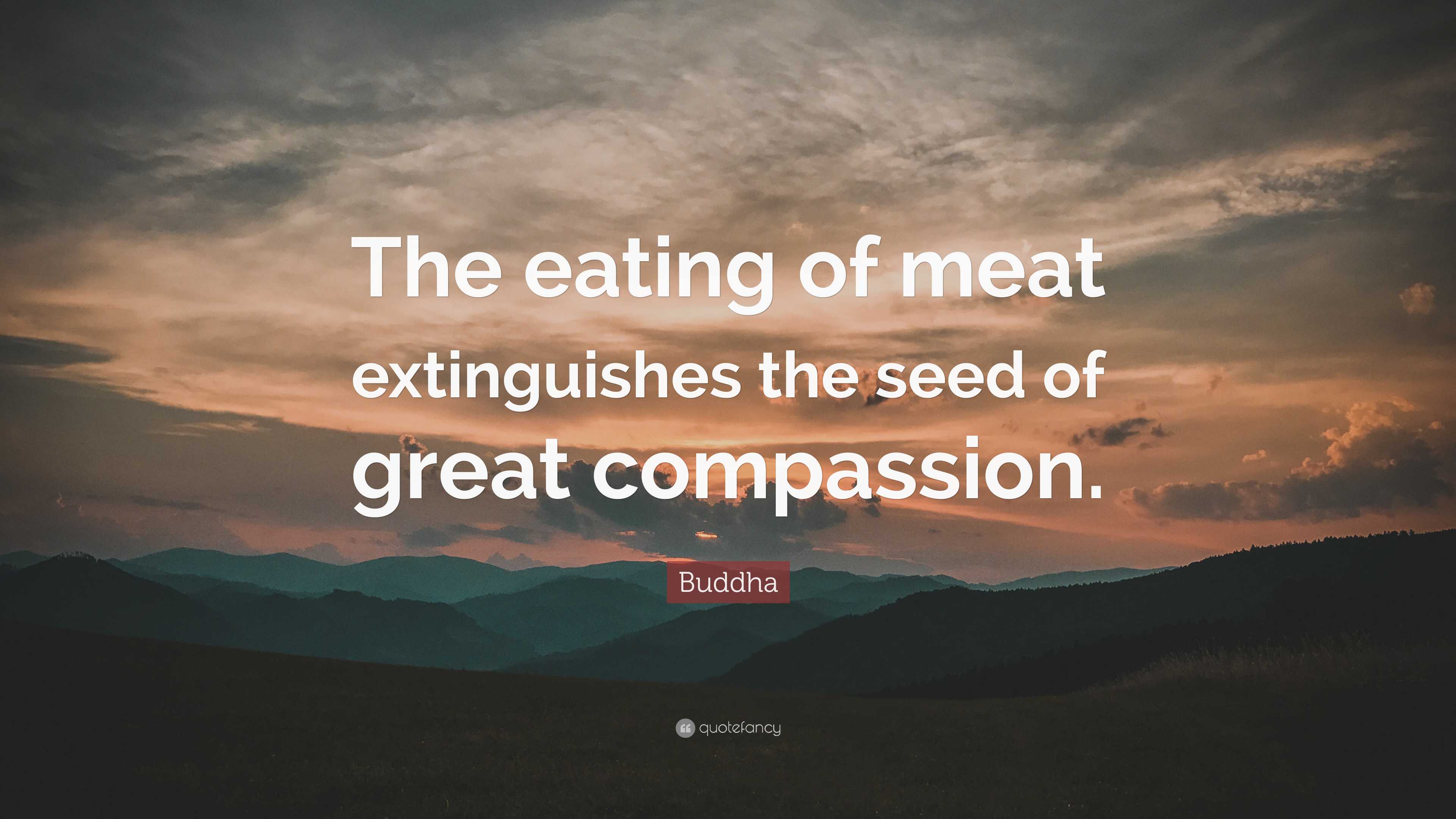 7911287 Buddha Quote The eating of meat extinguishes the seed of great