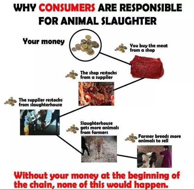 56757576 56757576