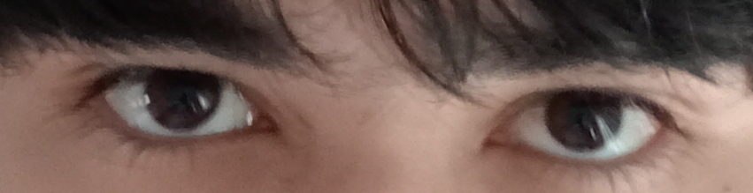 1000000804