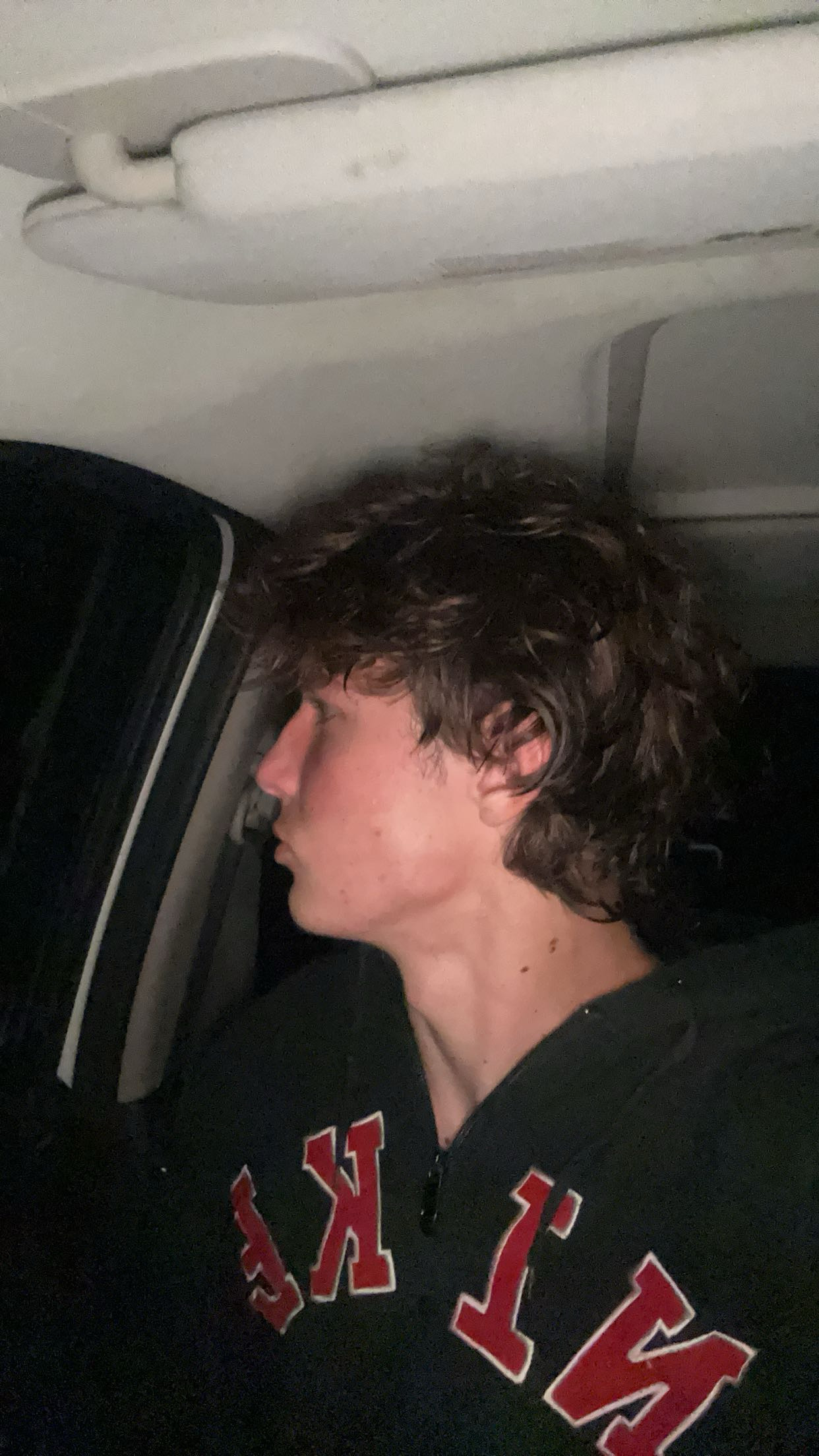 IMG 2949