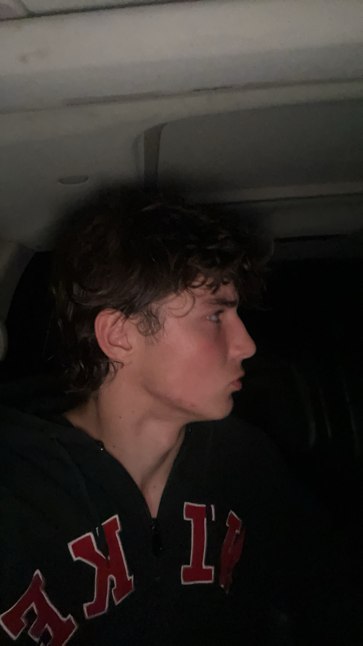 IMG 2950