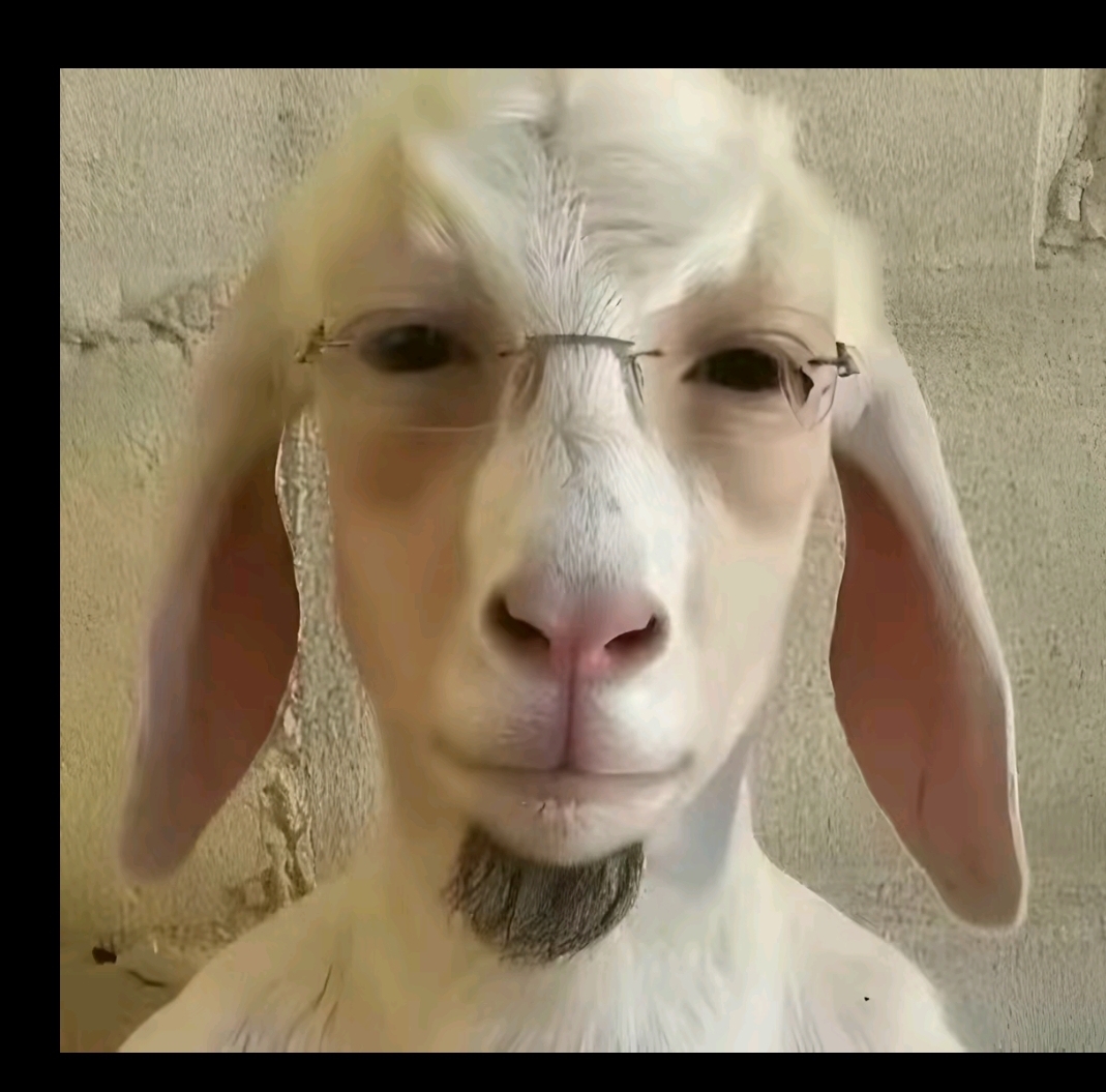 Screenshot 20241007 205330 TikTok