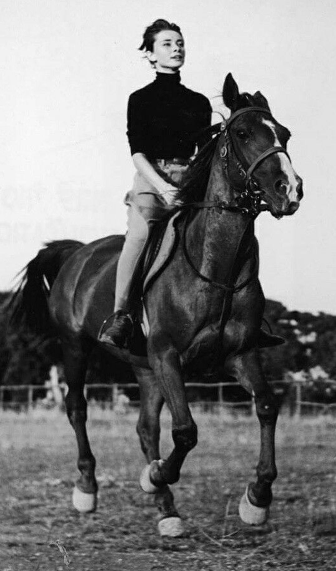 Screenshot 20241008 203354 Pinterest