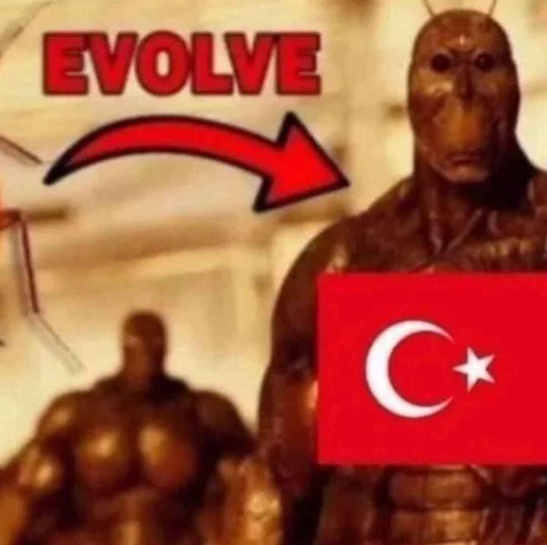 1728437833724
