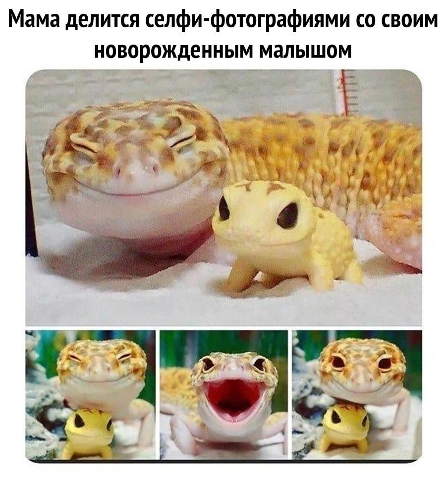 8c6IybRNg1CsMpfAD0Yl9oRzIjCvPIpKBCoxreVRZN4RglxdNdjqwDrdaM I5jd9LM3ArF0nbUQXkb2DHXdTsukZ