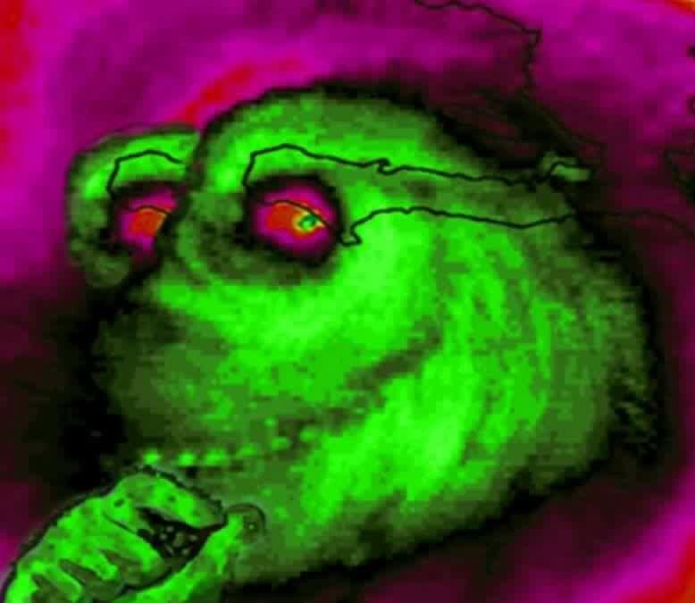 1607974049813