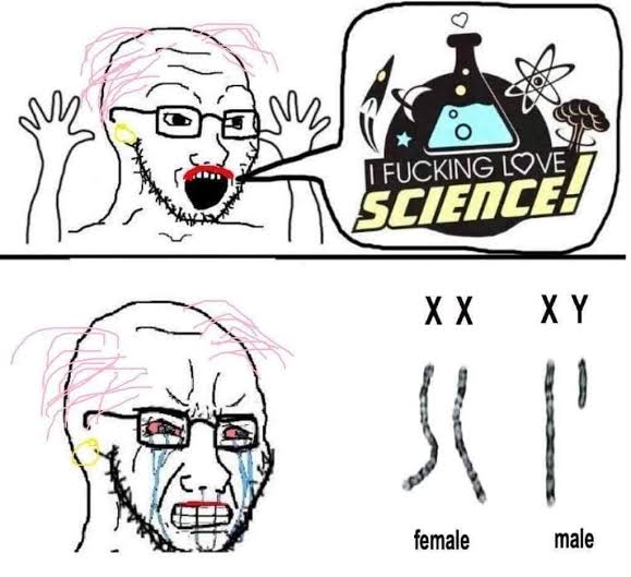 Images   2024 10 09T233504562