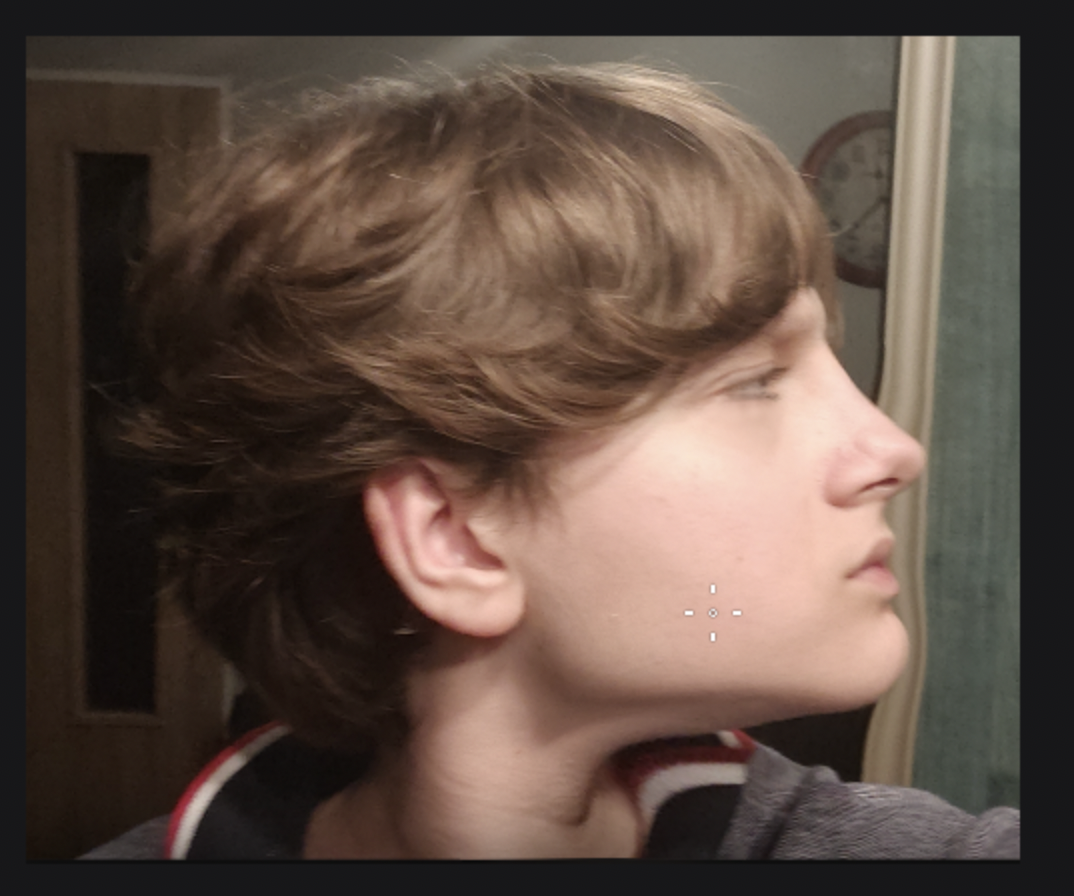 Screen Shot 2024 10 11 at 124936 am