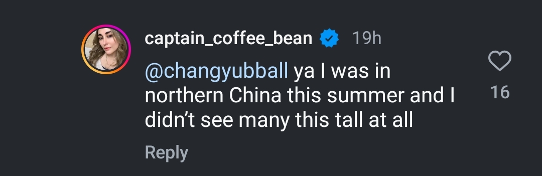 Screenshot 20241012 005029