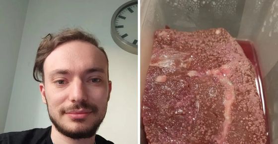 Clip rotten meats 30